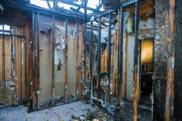 Professional Smoke Damage Removal technician working in Seffner, FL